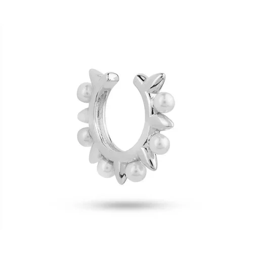 ایرکاف نقره