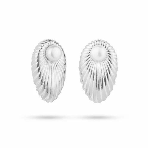 گوشواره نقره برگ